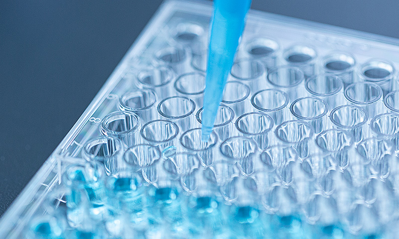 New Silicone Materials